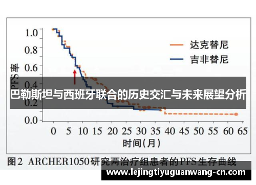 巴勒斯坦与西班牙联合的历史交汇与未来展望分析